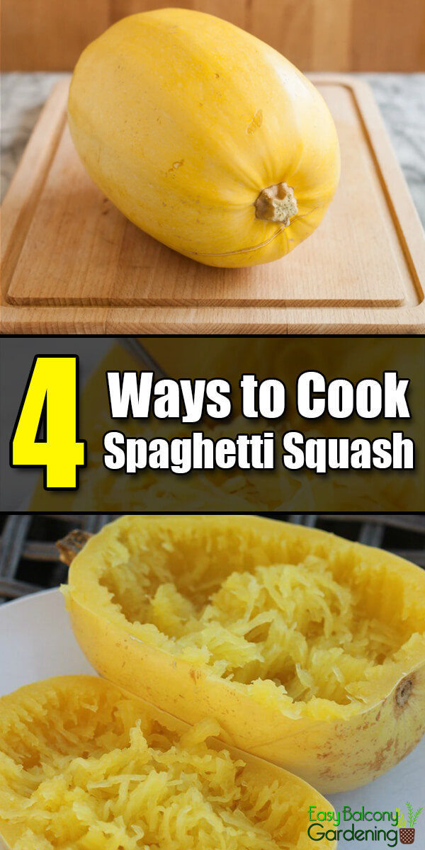 4 Ways to Cook Spaghetti Squash - Easy Balcony Gardening