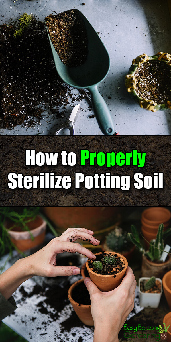How to Properly Sterlize Potting Soil - Easy Balcony Gardening