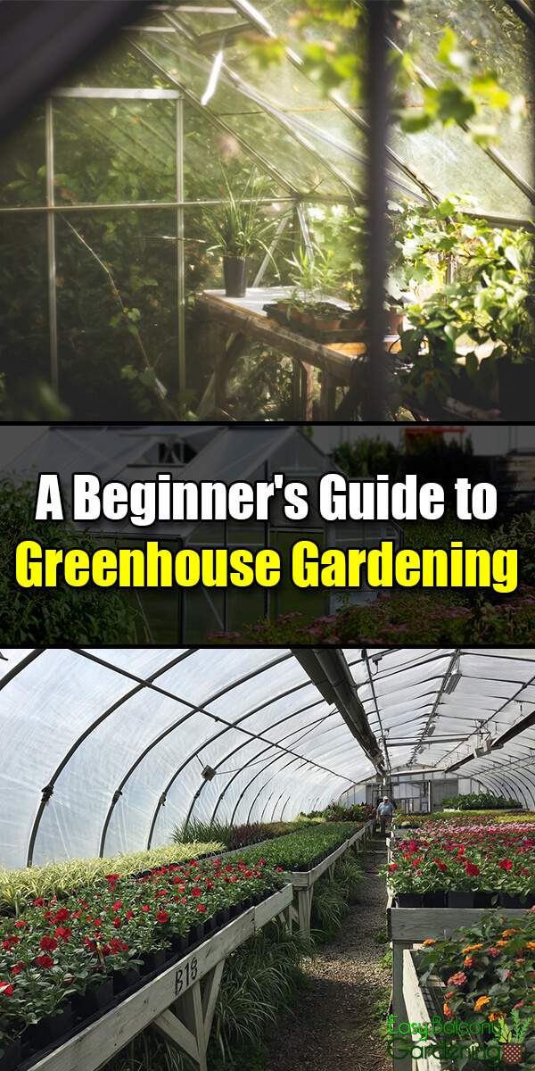 A Beginner's Guide to Greenhouse Gardening - Easy Balcony Gardening