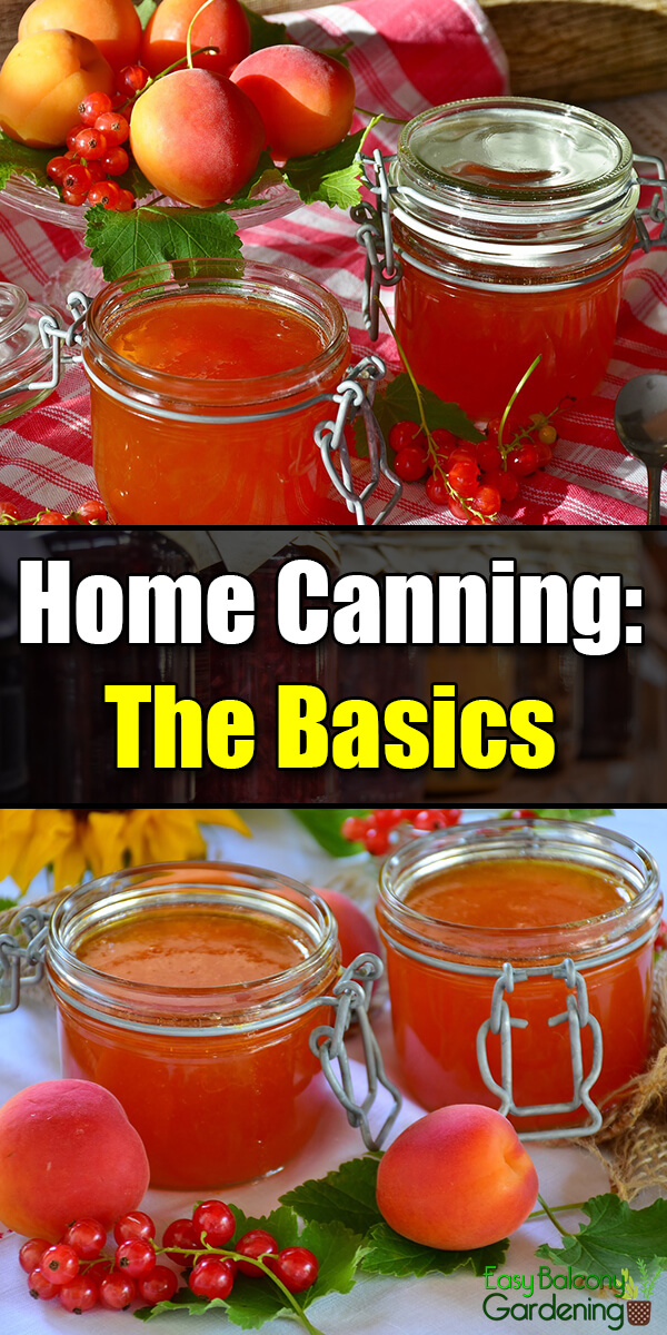 Home Canning The Basics