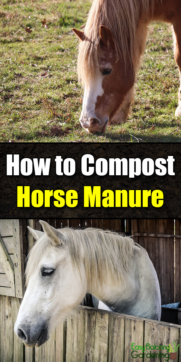 How to Compost Horse Manure