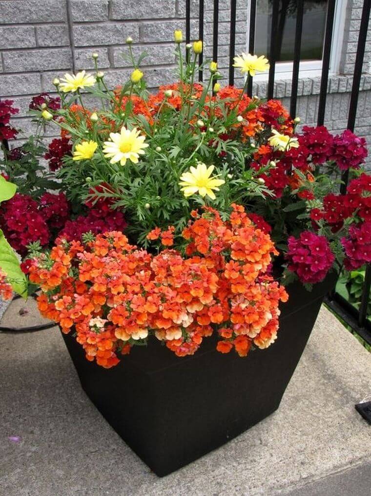 180 Container Gardening Ideas and Inspiration - Easy Balcony Gardening